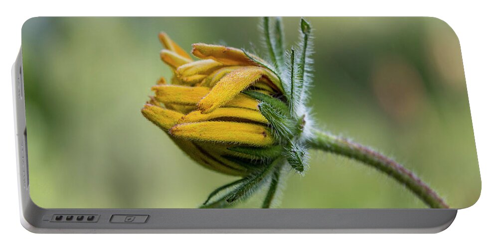 Rudbeckia Portable Battery Charger featuring the photograph Rudbeckia Fuzzy Bud by Patti Deters