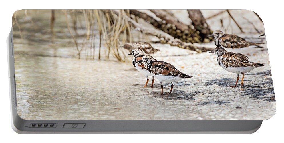 Nature Portable Battery Charger featuring the photograph Ruddy Turnstone by Scott Pellegrin