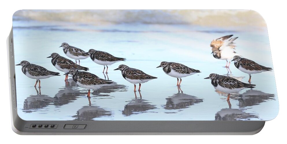 Ruddy Turnstones Portable Battery Charger featuring the photograph Ruddy Turnstones by Mingming Jiang