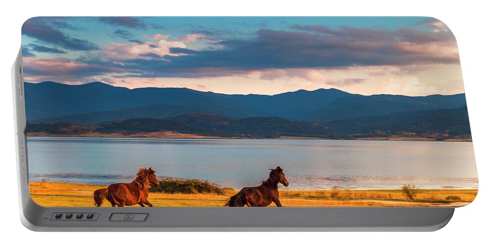 Animal Portable Battery Charger featuring the photograph Running Horses by Evgeni Dinev