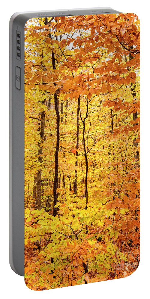 Nature Portable Battery Charger featuring the photograph Rusty Glow by Julia Hiebaum