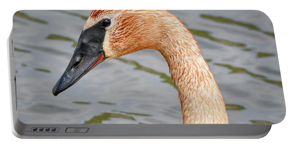 Rusty Neck Swan Portable Battery Charger featuring the photograph Rusty Neck Swan by Michelle Wittensoldner