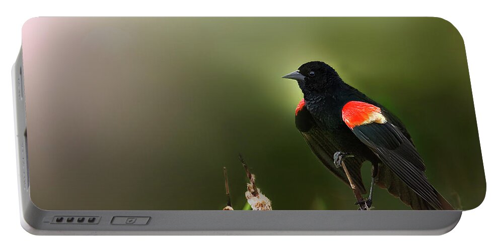 Bird Portable Battery Charger featuring the photograph RWBB on a Cattail by John Christopher