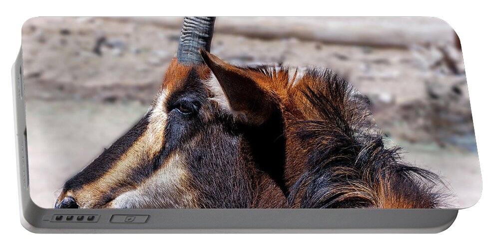 Sedona Portable Battery Charger featuring the photograph Sable Antelope by Al Judge