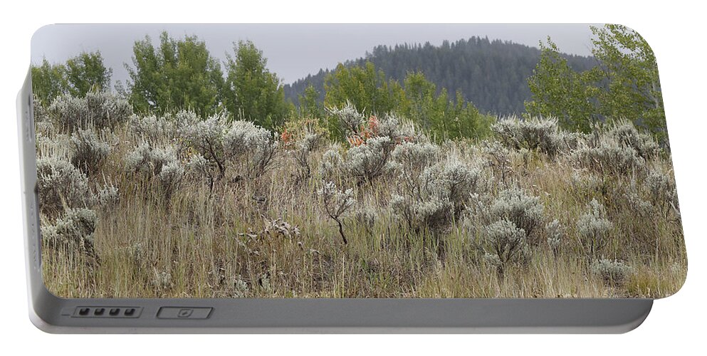 Sagebrush Portable Battery Charger featuring the photograph Sage and Such by Stephen Schwiesow