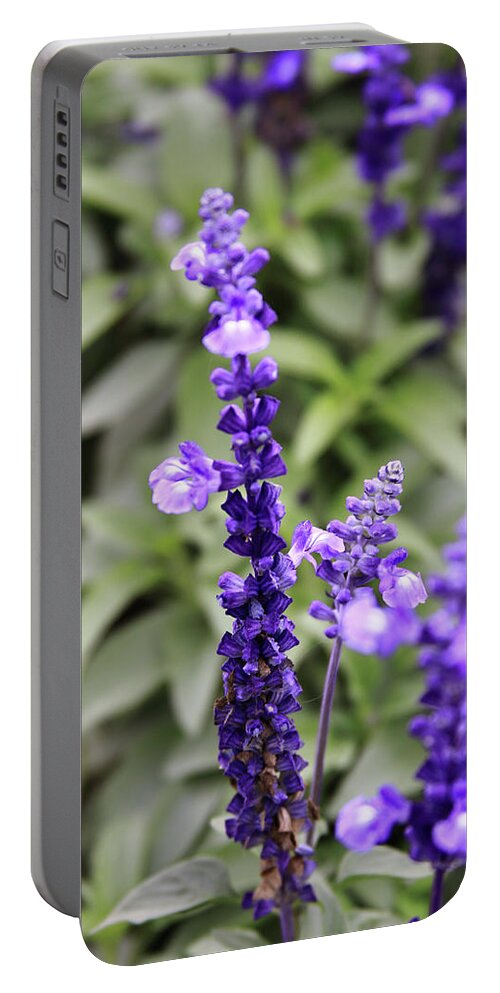 China Portable Battery Charger featuring the photograph Sage Flowers by Tanya Owens