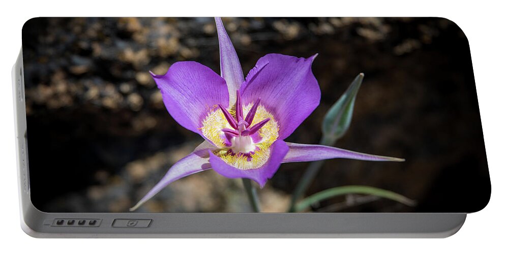 Lily Portable Battery Charger featuring the photograph Sagebrush Mariposa Lily by Stephen Sloan