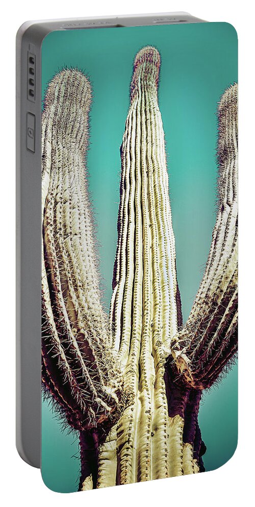 Atmospheric Portable Battery Charger featuring the photograph Saguaro #4 by Jennifer Wright