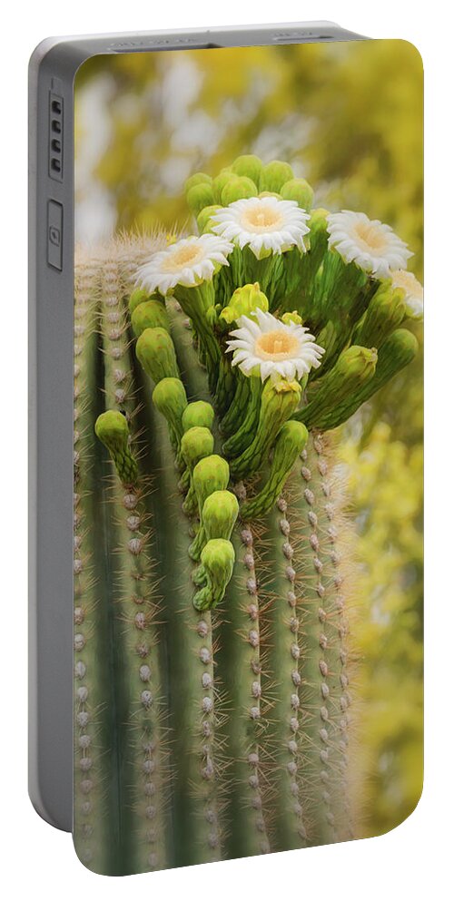 Saguaro Cactus Portable Battery Charger featuring the photograph Saguaro And Palo Verde Blooms by Saija Lehtonen
