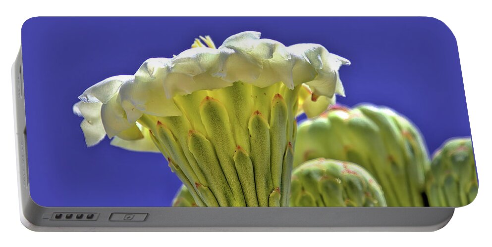 Cactus Portable Battery Charger featuring the photograph Saguaro Cactus Blossom by Bob Falcone