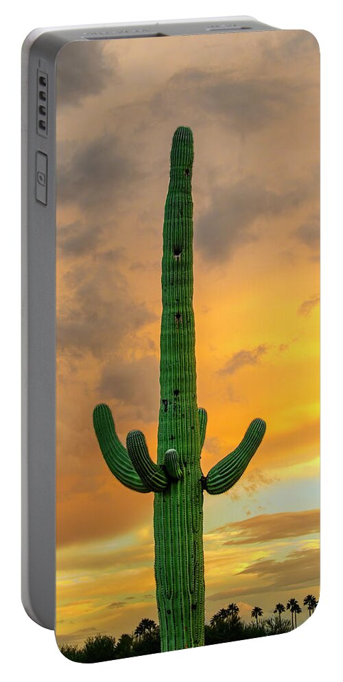 Mark Myhaver Photography Portable Battery Charger featuring the photograph Saguaro East of Sunset 24899 by Mark Myhaver