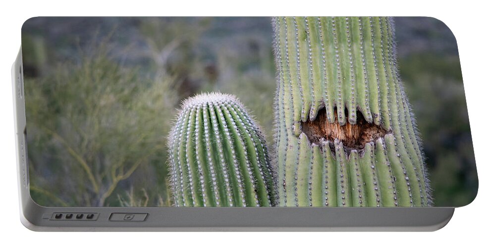 Saguaro Portable Battery Charger featuring the photograph Saguaro Smile by Bonny Puckett