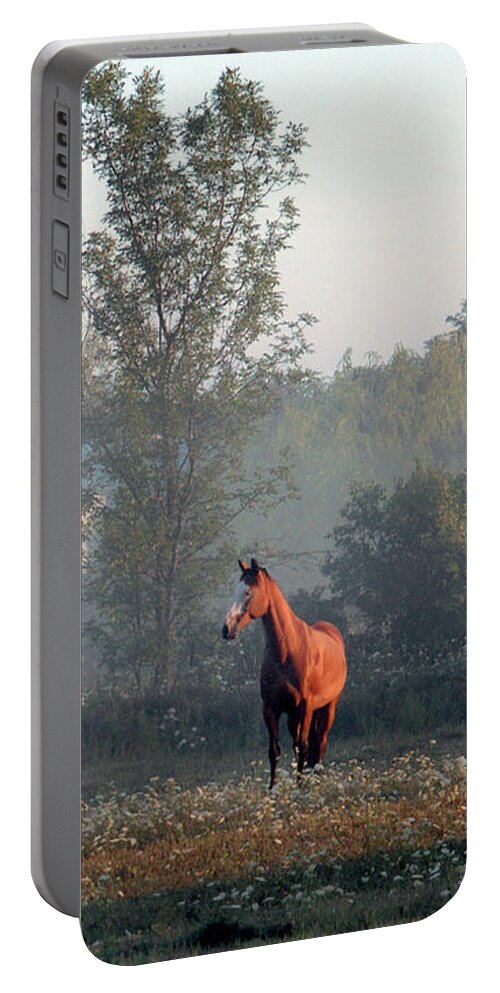 Horse Portable Battery Charger featuring the photograph Sally - Niagara, Ontario by Kenneth Lane Smith
