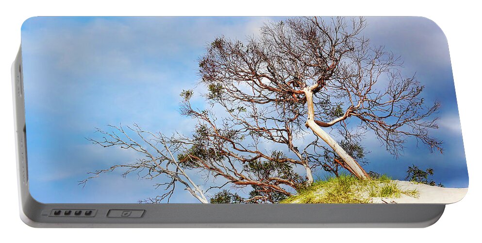 Tantalizing. Tasmania Portable Battery Charger featuring the photograph Sand Dune with Bent Trees by Lexa Harpell
