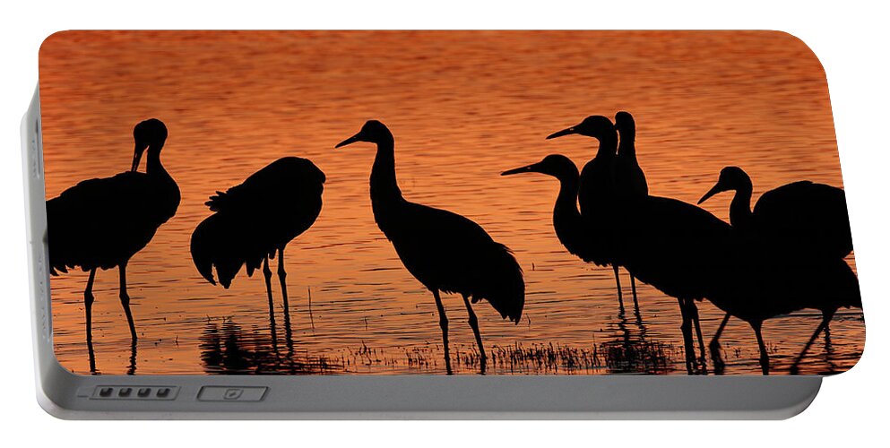 Usa Portable Battery Charger featuring the photograph Sandhills In Their Golden Hours by Jennifer Robin