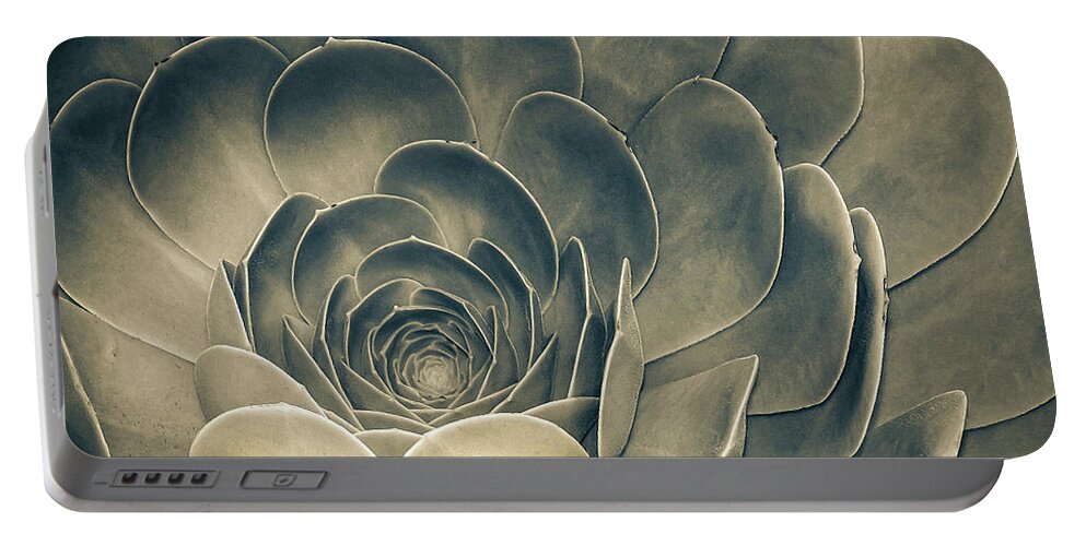 Environmental Portable Battery Charger featuring the photograph Santa Barbara Succulent #1 by Jennifer Wright