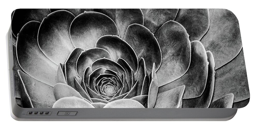 Echeveria Portable Battery Charger featuring the photograph Santa Barbara Succulent #2 by Jennifer Wright