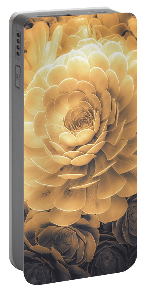 Echeveria Portable Battery Charger featuring the photograph Santa Barbara Succulent#22 by Jennifer Wright