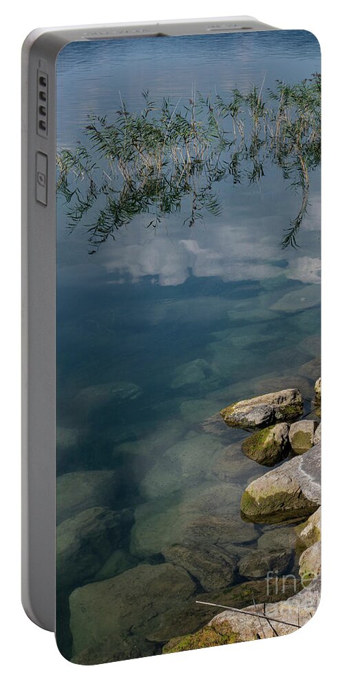 Lake Sapanca Lake Portable Battery Charger featuring the photograph Sapanca Lake Ditch Weed by Bob Phillips