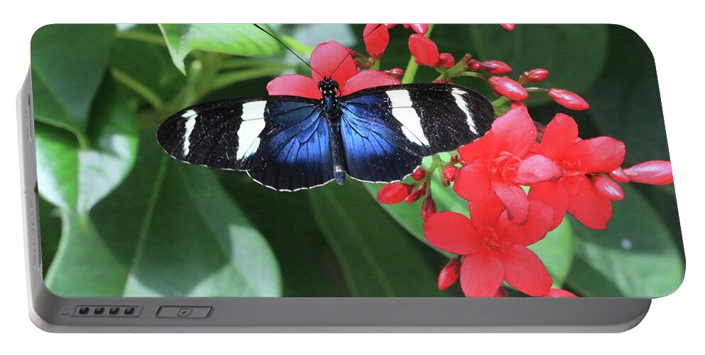 Arizona Portable Battery Charger featuring the photograph Sapho Longwing Butterfly by Dawn Richards