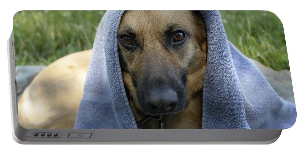 ‘german Shepherd’ Portable Battery Charger featuring the photograph Sasha on a Picnic by Carol Whaley Addassi