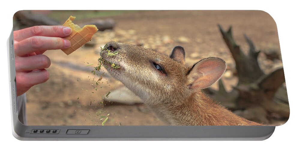 Wallaby Portable Battery Charger featuring the photograph Save Australian Wallaby by Benny Marty