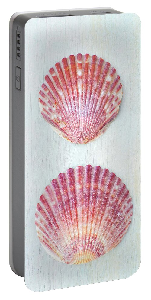 Scallop Shells Portable Battery Charger featuring the photograph Scallopishous by Kathi Mirto
