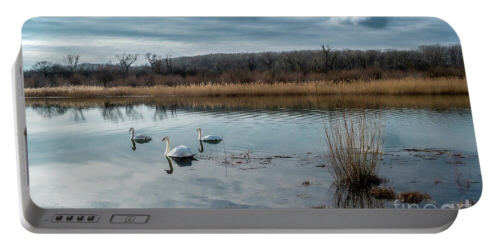 Abandoned Portable Battery Charger featuring the photograph Scenic Landscape With Swan And Abandoned Meander In The National Park Danube Wetlands In Austria by Andreas Berthold