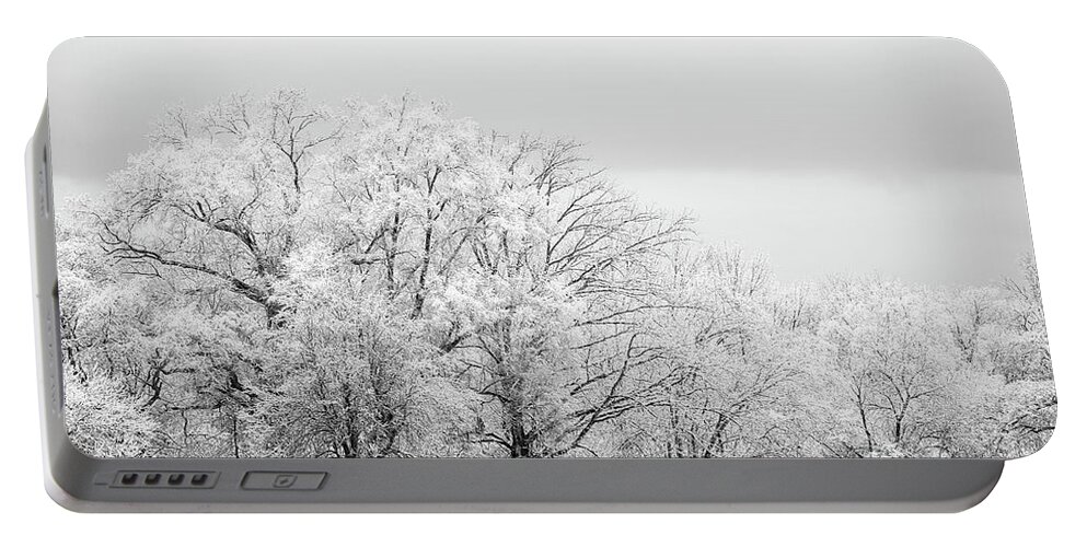 Seasons Portable Battery Charger featuring the photograph Scenic Winter by Nicki McManus