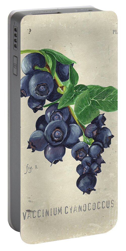 Blueberries Portable Battery Charger featuring the painting Scientific Fruit 1 by Debbie DeWitt