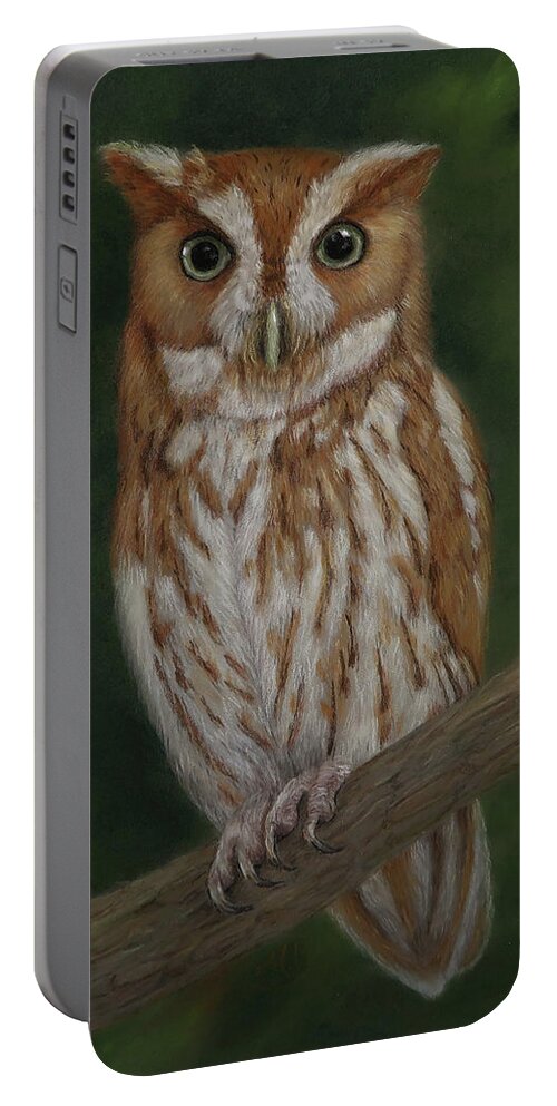 Bird Art Portable Battery Charger featuring the painting Screech Owl by Monica Burnette
