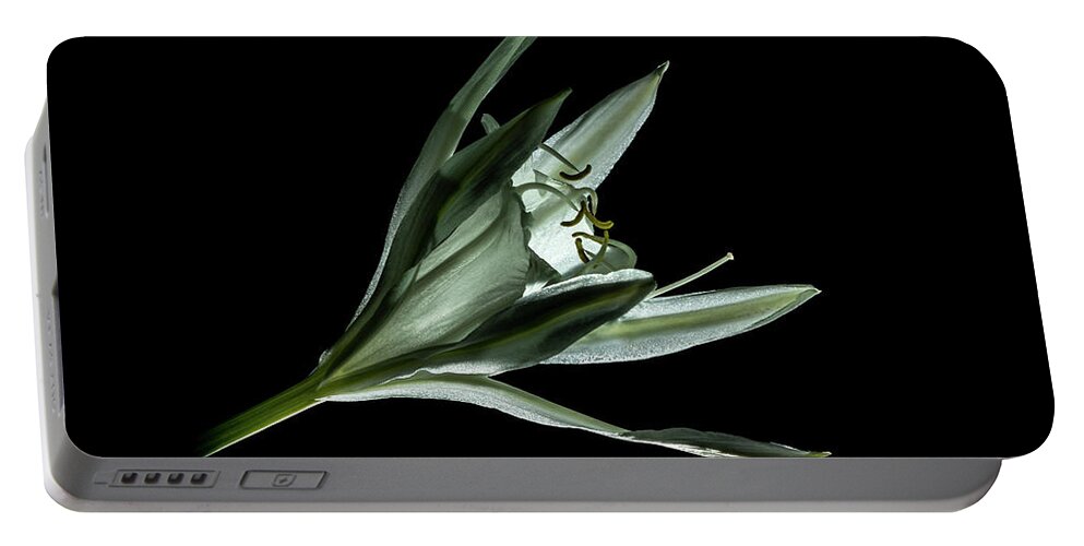 Flower Portable Battery Charger featuring the photograph Sea Daffodil by Stan Weyler