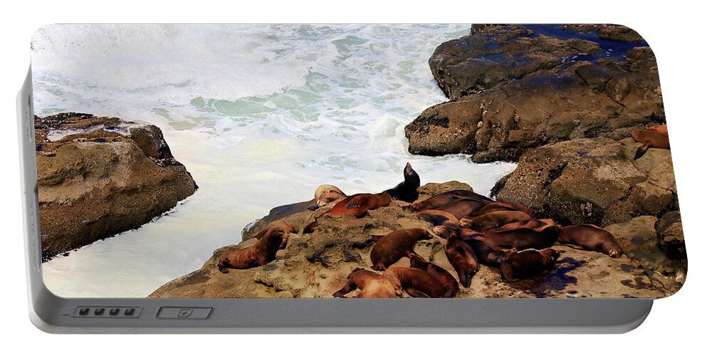 Charleston Portable Battery Charger featuring the photograph Sea lion Pride by Janie Johnson