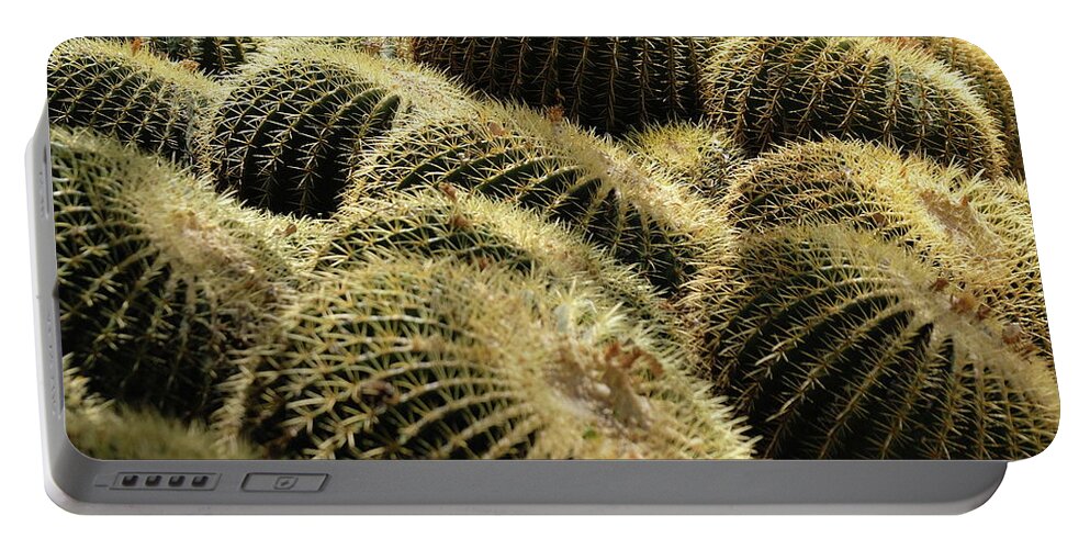 Cactus Portable Battery Charger featuring the photograph Sea of Thorns by Jessica Myscofski