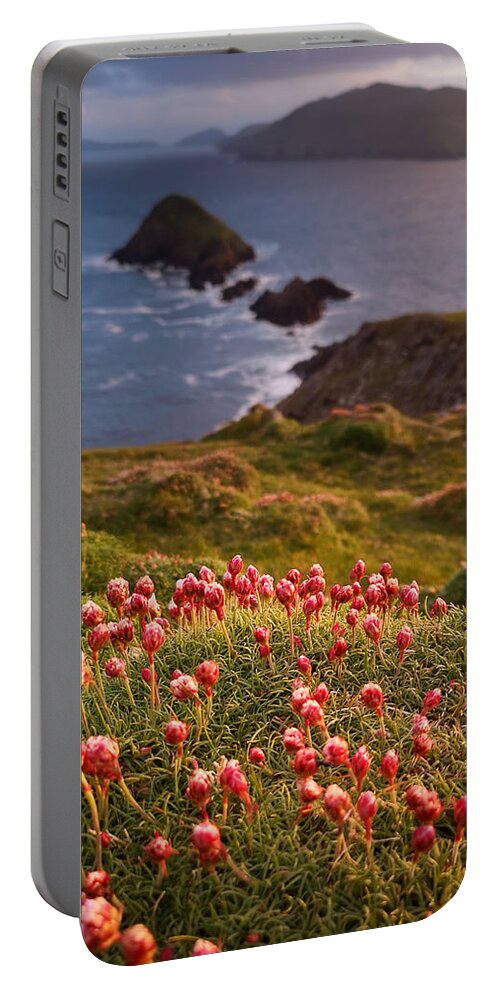 Sea Pink Portable Battery Charger featuring the photograph Sea Pink Last Glowing by Mark Callanan