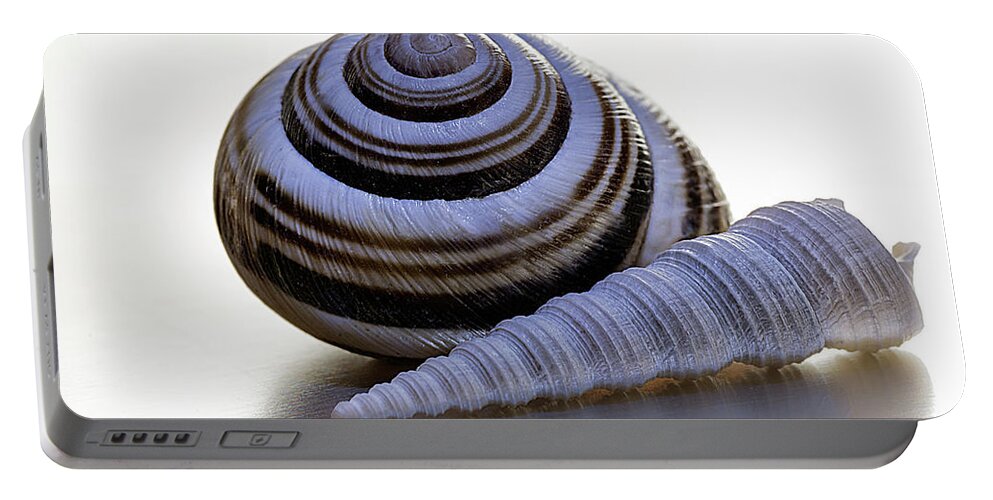 Wolfgang Stocker Portable Battery Charger featuring the photograph Sea shells by Wolfgang Stocker