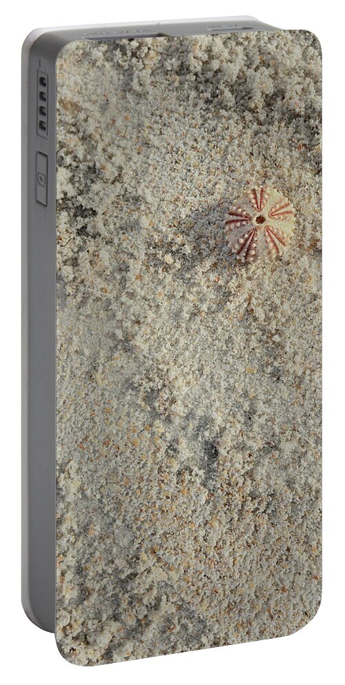Sea Urchin Shell Portable Battery Charger featuring the photograph Sea Urchin Shell on Sandy Beach by Marianne Campolongo
