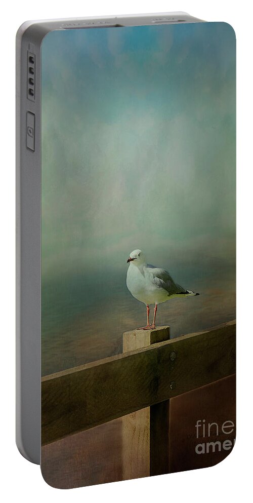 Seagull Portable Battery Charger featuring the photograph Seagull on a Fence by Elaine Teague