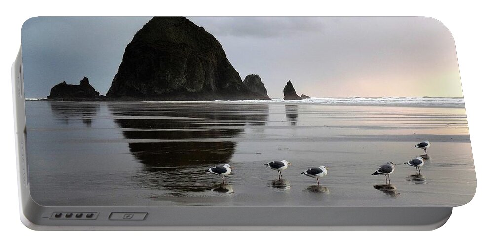 Oregon Portable Battery Charger featuring the photograph Seagulls at Haystack Rock by Tranquil Light Photography