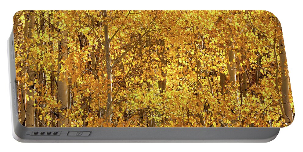 Aspen Trees In Colorado By Olena Art Fall In Full Bloom 🍁 Portable Battery Charger featuring the photograph Season Of Gold 3d Panel Split Triptych  by OLena Art by Lena Owens - Vibrant DESIGN