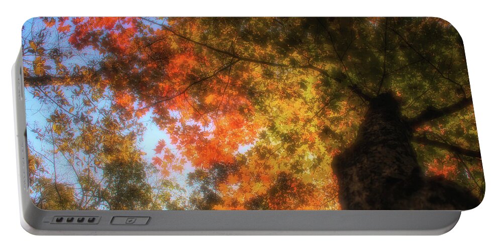 Nature Portable Battery Charger featuring the photograph Seasons Change by Linda Shannon Morgan
