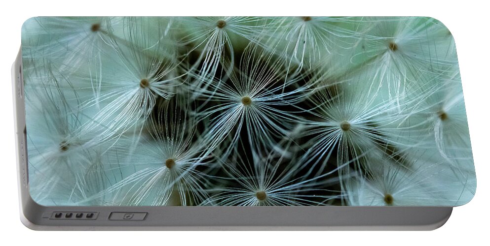 Dandelion Portable Battery Charger featuring the photograph Seeds by Cathy Kovarik