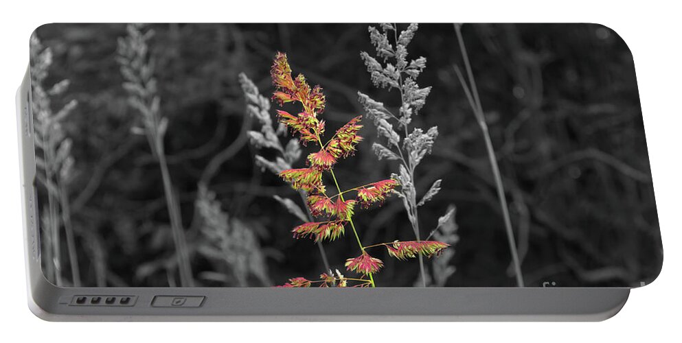 Digital Art Portable Battery Charger featuring the photograph Selective colour of grassland-Hopwood Nature Reserve England UK by Pics By Tony