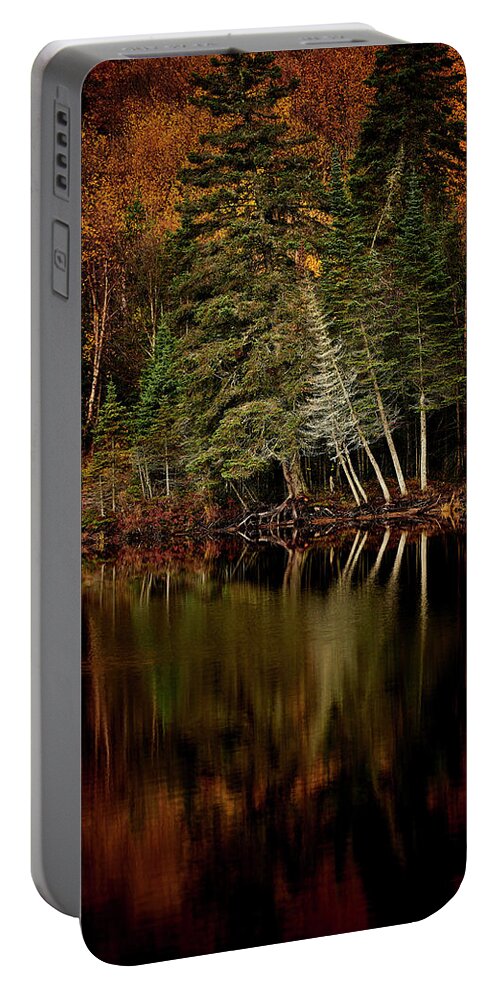 Canada Portable Battery Charger featuring the photograph Sensuous by Doug Gibbons