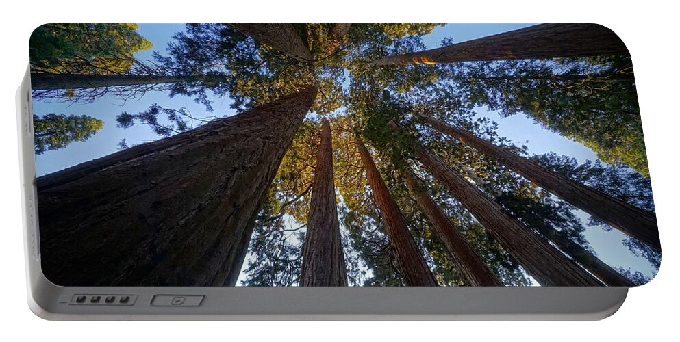 Giant Sequoia Trees Portable Battery Charger featuring the photograph Sequoia Filled Sky by Brett Harvey