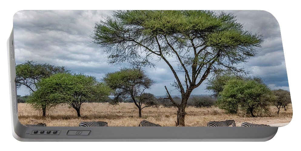 Tanzania Portable Battery Charger featuring the photograph Serengeti Zebra Crossing by Marcy Wielfaert