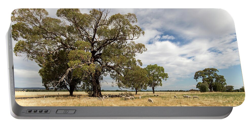 Paddock Portable Battery Charger featuring the photograph Shade, anywhere you can get it by Linda Lees