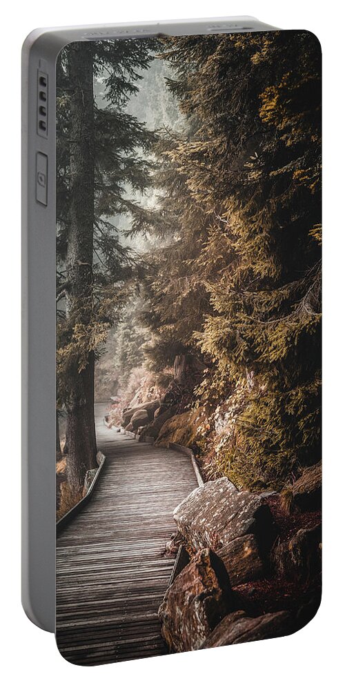 Forest Portable Battery Charger featuring the photograph Shades of Autumn by Philippe Sainte-Laudy
