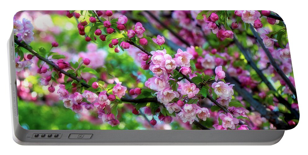Flowers Portable Battery Charger featuring the photograph Shades of Pink by Philippe Sainte-Laudy