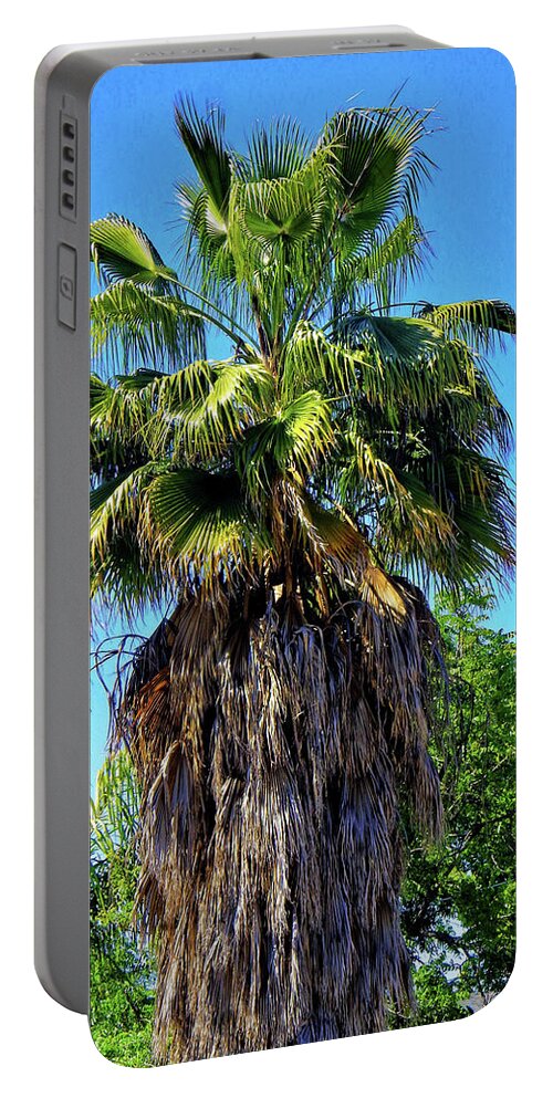 Tree Portable Battery Charger featuring the photograph Shaggy Palm Tree by Andrew Lawrence